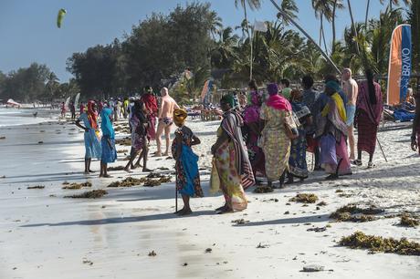 kiwengwa ▷ Dónde alojarse en Zanzíbar