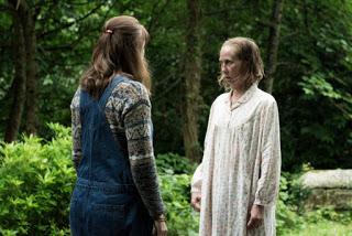 BOSQUE MALDITO, EL (Hole in the Ground, the) (Irlanda, 2019) Terror, Intriga