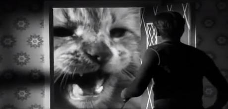 Charly en el Rex, Mayo, 2019 Charly en el Rex, Mayo, 2019