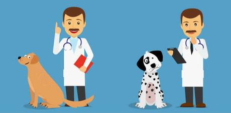 Urgencias Veterinaria 24 horas Medellin – Direcciones y teléfonos