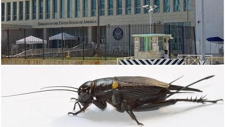 Treinta y siete años tomará al Departamento de Estado responder solicitud de información sobre “ataques sónicos” en Cuba