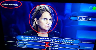 La Vergüenza por Tevé: Más Cara que la Educación es la Ignorancia