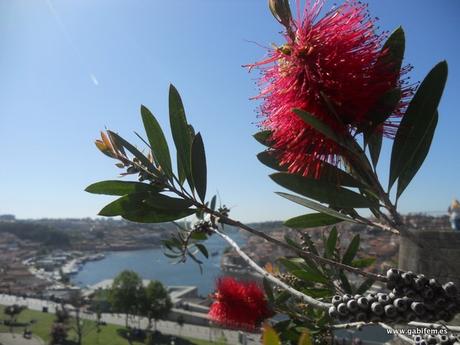 Porto - Segunda Parte