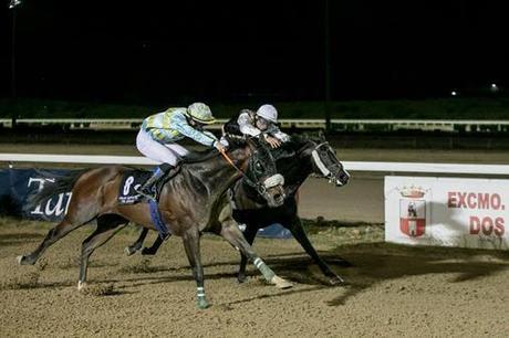 Carreras con sabor a Feria en el Gran Hipódromo de Andalucía
