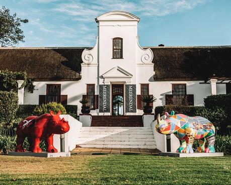 ▷ Las mejores bodegas de los viñedos del cabo de Sudáfrica wine-27 ▷ Las mejores bodegas de los viñedos del cabo de Sudáfrica