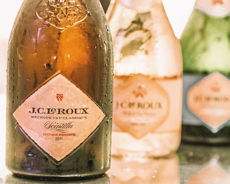 ▷ Las mejores bodegas de los viñedos del cabo de Sudáfrica wine-21 ▷ Las mejores bodegas de los viñedos del cabo de Sudáfrica