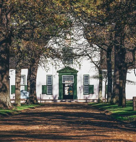 ▷ Las mejores bodegas de los viñedos del cabo de Sudáfrica wine-3-1 ▷ Las mejores bodegas de los viñedos del cabo de Sudáfrica