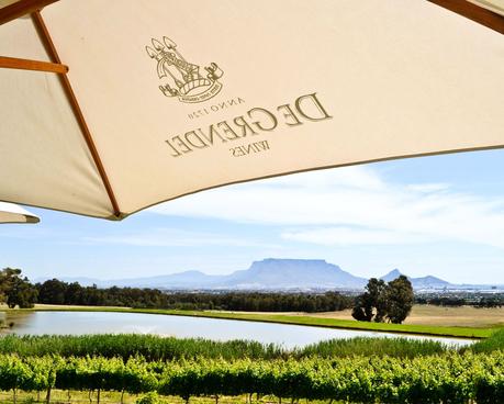 ▷ Las mejores bodegas de los viñedos del cabo de Sudáfrica wine-26 ▷ Las mejores bodegas de los viñedos del cabo de Sudáfrica