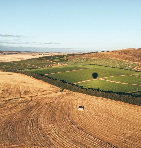 ▷ Las mejores bodegas de los viñedos del cabo de Sudáfrica wine-4 ▷ Las mejores bodegas de los viñedos del cabo de Sudáfrica