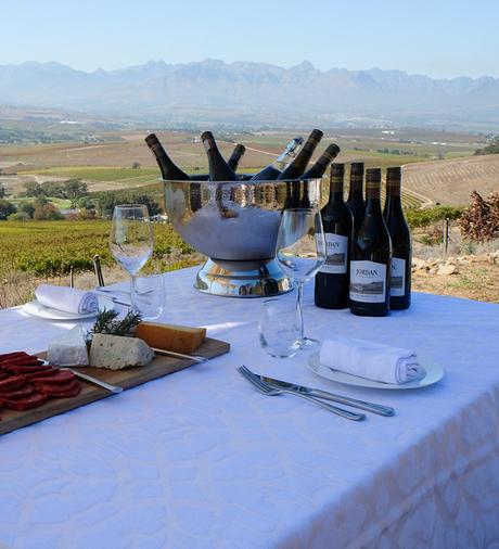 ▷ Las mejores bodegas de los viñedos del cabo de Sudáfrica wine-5 ▷ Las mejores bodegas de los viñedos del cabo de Sudáfrica