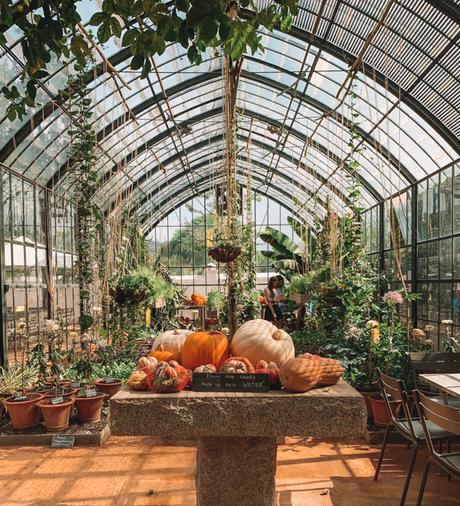 ▷ Las mejores bodegas de los viñedos del cabo de Sudáfrica unnamed ▷ Las mejores bodegas de los viñedos del cabo de Sudáfrica