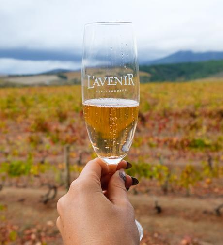 ▷ Las mejores bodegas de los viñedos del cabo de Sudáfrica wine-9 ▷ Las mejores bodegas de los viñedos del cabo de Sudáfrica