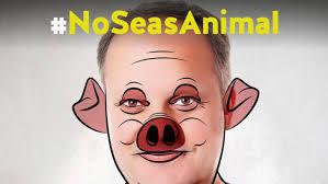 De lechón a cochino profesor