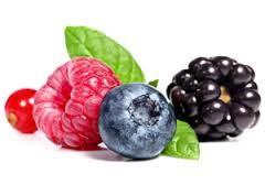 Frutos del bosque saludables y antioxidantes a diario