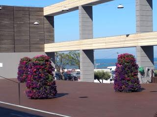 Terraza parador hotel Atlantico