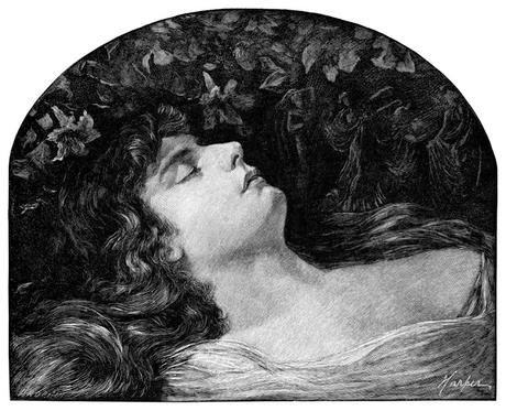 Cosas que probablemente no sabías de Pokémon Cosas que probablemente no sabías de Pokémon