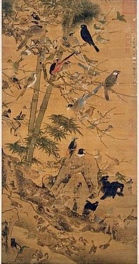 La imagen puede contener: pÃ¡jaro