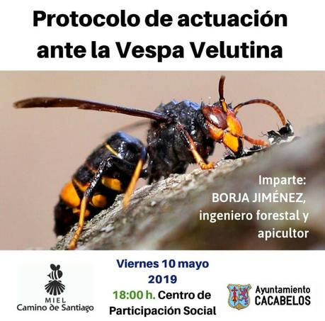 Planes de ocio para el fin de semana en el Bierzo.  10 al 12 de mayo 2019