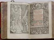 Teresa, “mujer excepcional”: Exposición Museo Santa