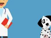 Urgencias Veterinaria horas Bucaramanga Direcciones teléfonos