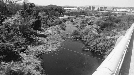 EL   DIARIO DEL CONEJO: ¿ Y tú qué ves?