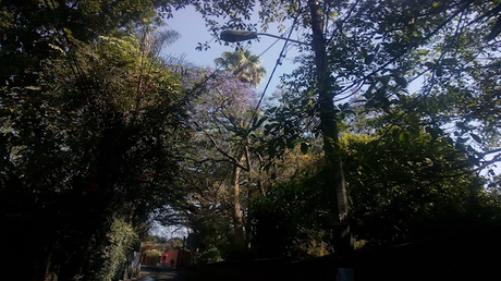 EL   DIARIO DEL CONEJO: ¿ Y tú qué ves?