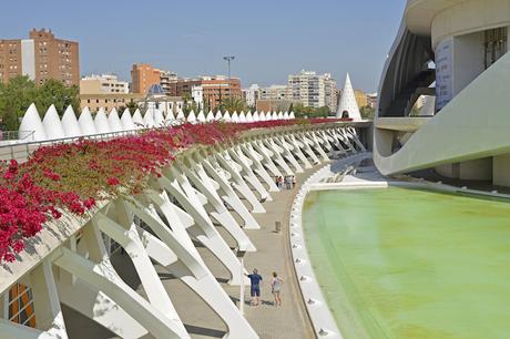 valencia_quatre_carreres ▷ Dónde alojarse en Valencia