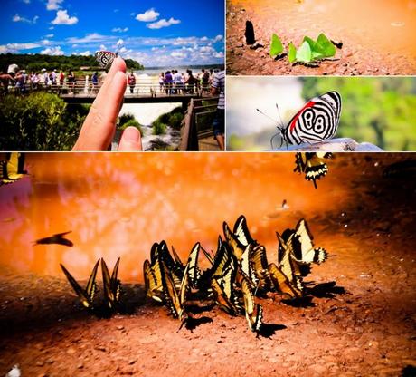 ig4 ▷ ¿Qué lado de las Cataratas del Iguazú es mejor? Brasil vs Argentina por las Cataratas del Iguazú: ¿Argentina o Brasil? - Comedia de viajes de escritura