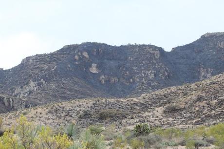 UASLP participará en la restauración de la Sierra de San Miguelito