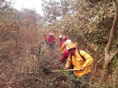 TRABAJA PROBOSQUE EN CONTROL DE INCENDIO FORESTAL EN TEOPAZUL, TLATLAYA