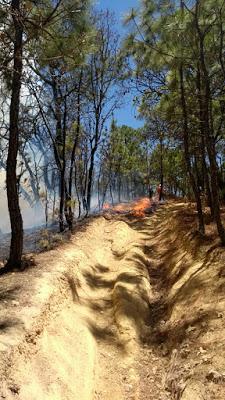 COMBATE PROBOSQUE DOS INCENDIOS FORESTALES EN EL CORREDOR DE VALLE DE BRAVO