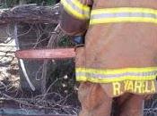 Bomberos texcoco retiran árbol cayó barda escuela primaria tlaminca