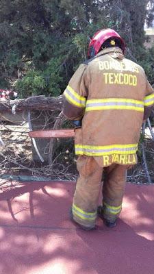 BOMBEROS DE TEXCOCO RETIRAN ÁRBOL QUE CAYÓ EN BARDA DE ESCUELA PRIMARIA DE TLAMINCA
