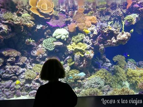 GUÍA: Cómo organizar un viaje de tres días a Copenhague 1557645208_680_GUIA-Como-organizar-un-viaje-de-tres-dias-a-Copenhague GUÍA: Cómo organizar un viaje de tres días a Copenhague