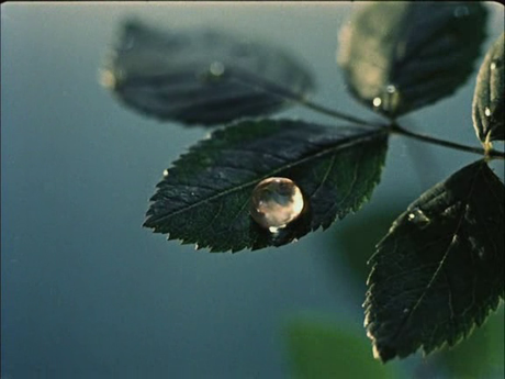 Tres cortometrajes de Karel Zeman Tres cortometrajes de Karel Zeman