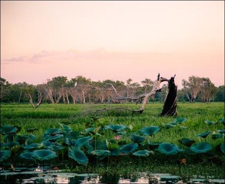 Top End, turismo en Australia