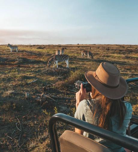 ▷ Cosas importantes para buscar en una compañía de viajes tba-2 ▷ Cosas importantes para buscar en una compañía de viajes