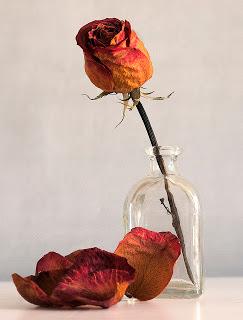 Senectud nostálgica