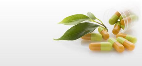 Cómo usar el harpagófito