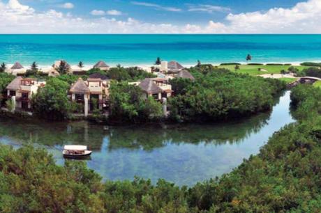 Los manglares del mundo maya