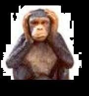 La adicción a escuchar mentiras La adicción a escuchar mentiras