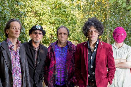 Gong - The Universe Also Collapses (2019) Gong - The Universe Also Collapses (2019)
