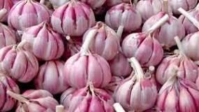 Superalimentos I Superalimentos I