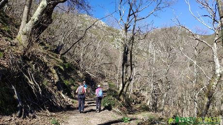 RUTA a LA PATANA o ESCURIU desde ROBLEDO, Somiedo Sendero entre el bosque en Robledo, Somiedo