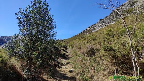 Sendero por la ladera norte de la Patana