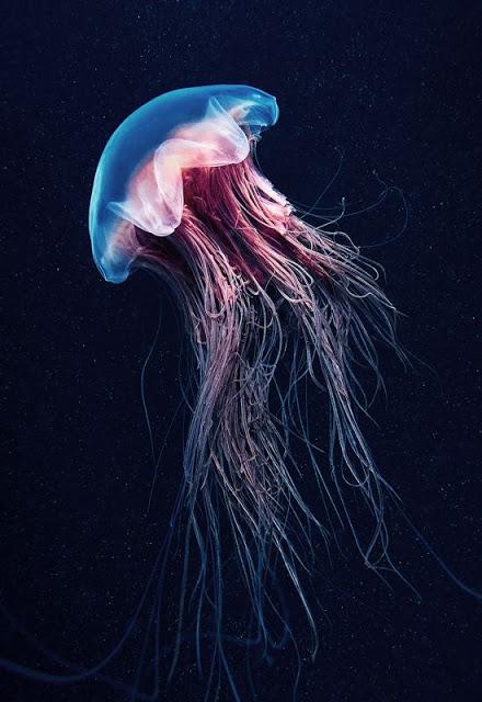 El mundo que Jones creó. ¡Una novela de Philip K. Dick! El mundo que Jones creó. ¡Una novela de Philip K. Dick!