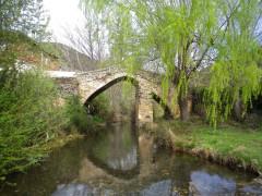 La Mesta y los pueblos de la Sierra Norte de Guadalajara
