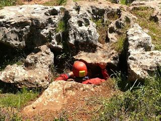 Seguimos colaborando con especialistas de EEUU, Alemania y Francia