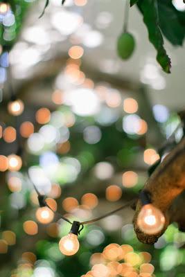 Iluminacion para boda en un jardín