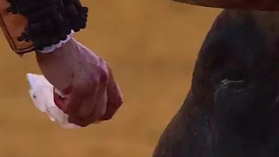 Polémico gesto de Morante, antes de matar a un toro.